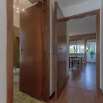 Apartamento Pontelagoscuro Huge&residential